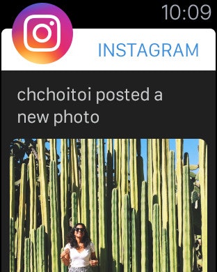 Instagram 8.0 gallery image
