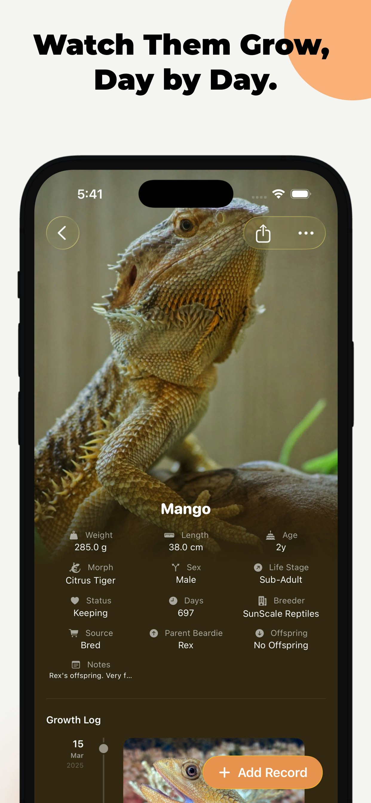 Beardie Days gallery image