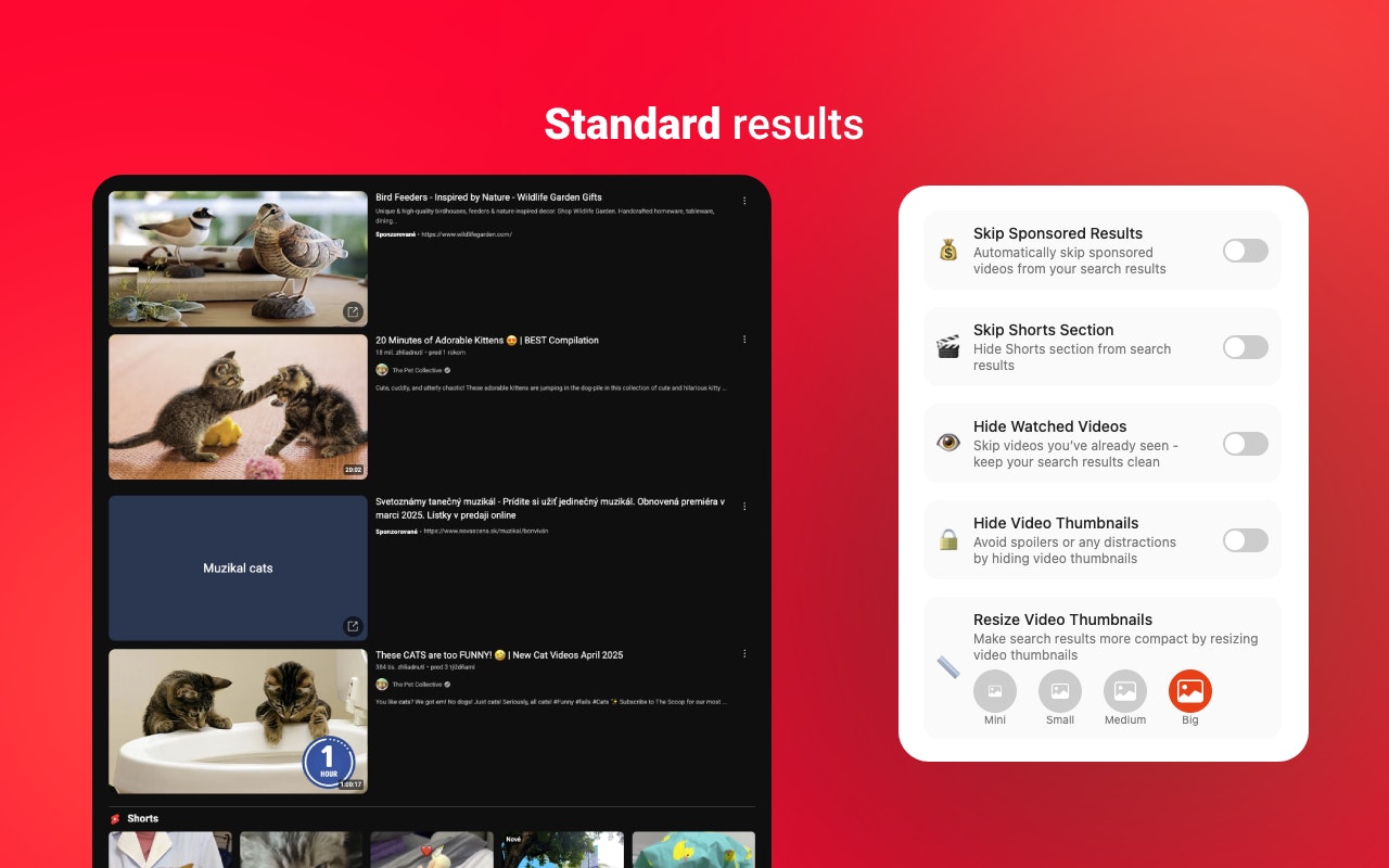Contenedor - Limpiar y controlar YouTube media 3