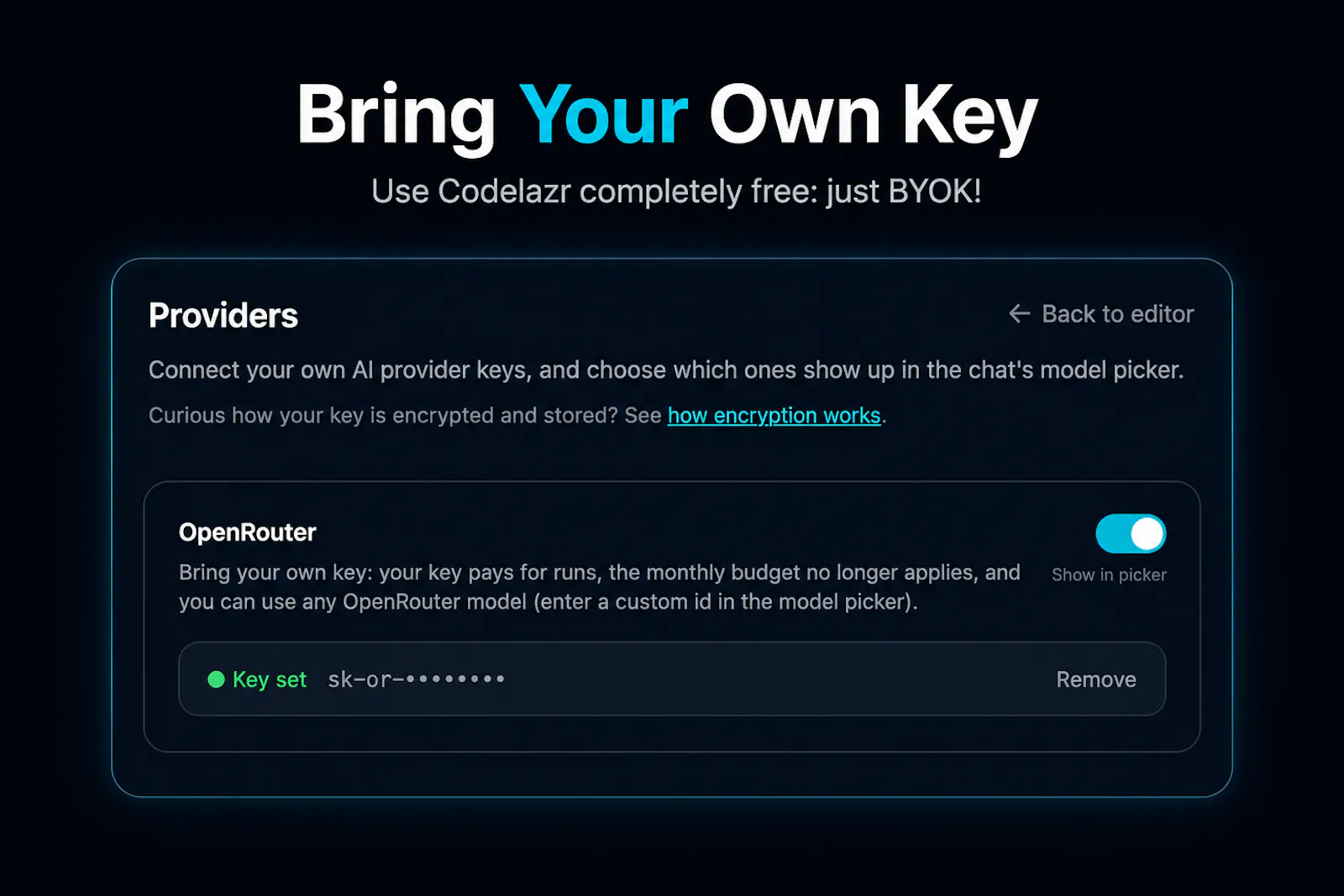 codelazr.com screenshot 4
