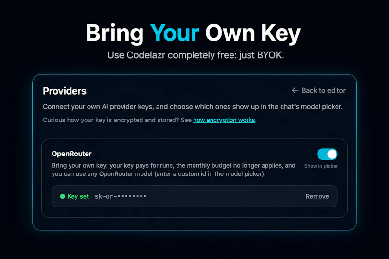 codelazr.com screenshot 4