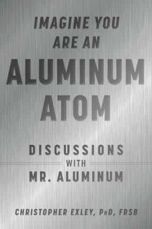 Imagine you are an Aluminum Atom gallery image