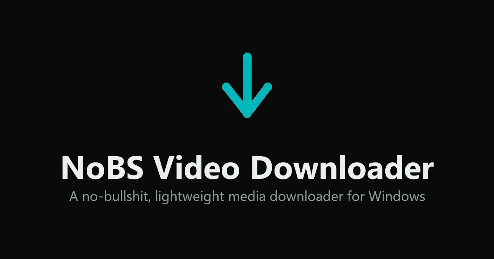 NoBS Video Downloader screenshot 1