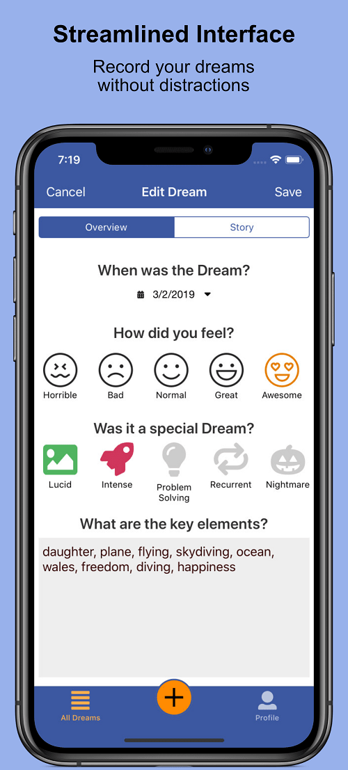 DreamFort gallery image