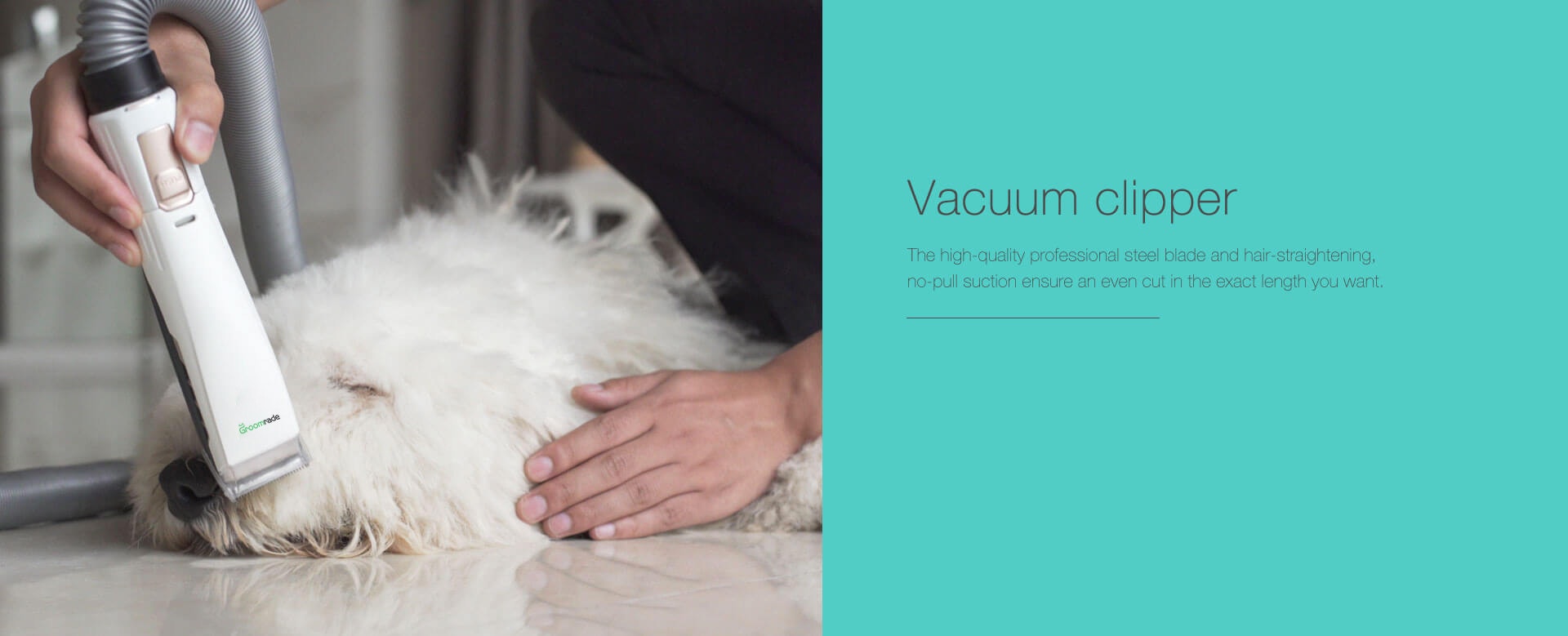 Groomrade: Smart & Mess-Free Vacuum Dog Groomer gallery image