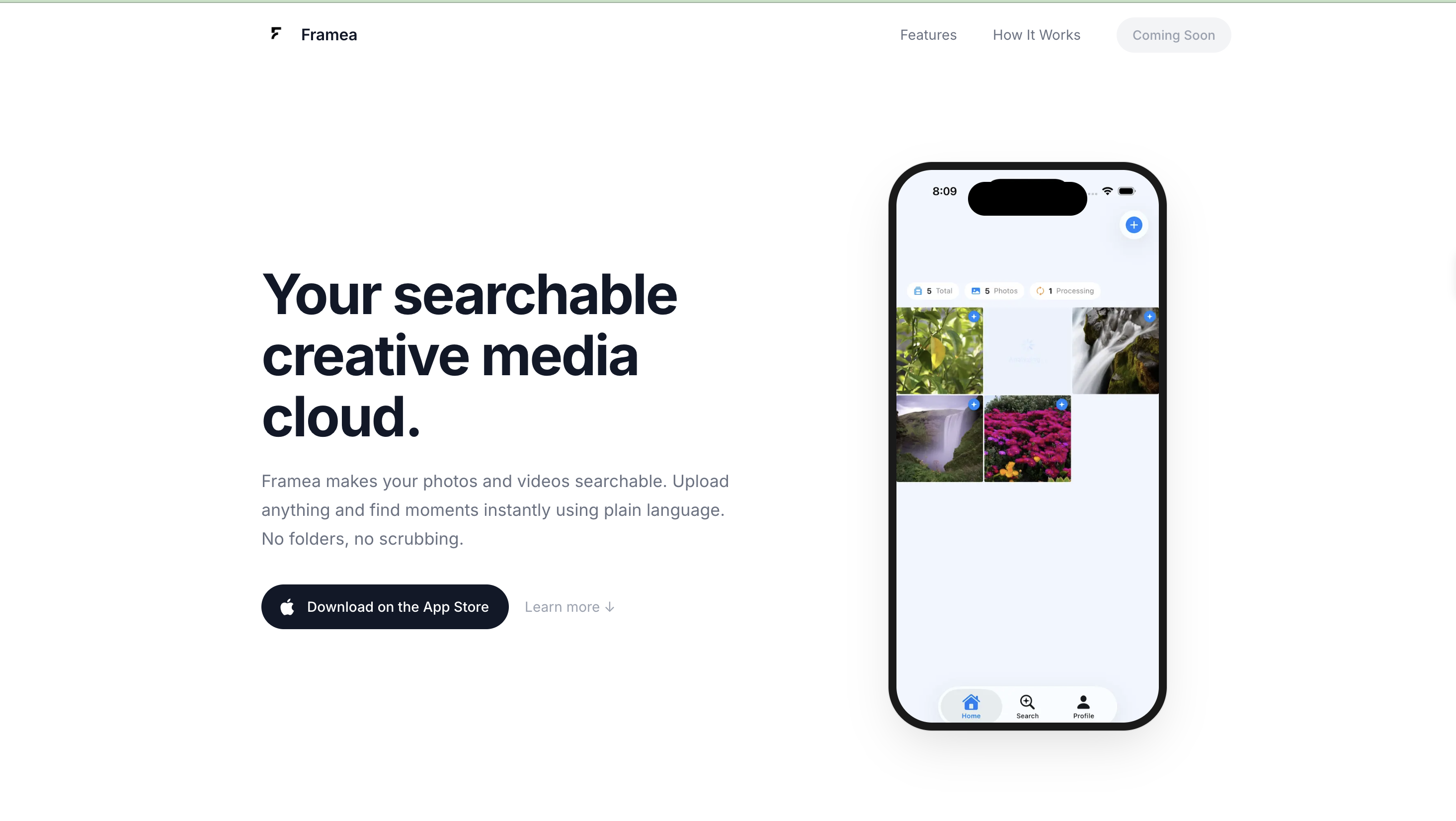 Framea gallery image