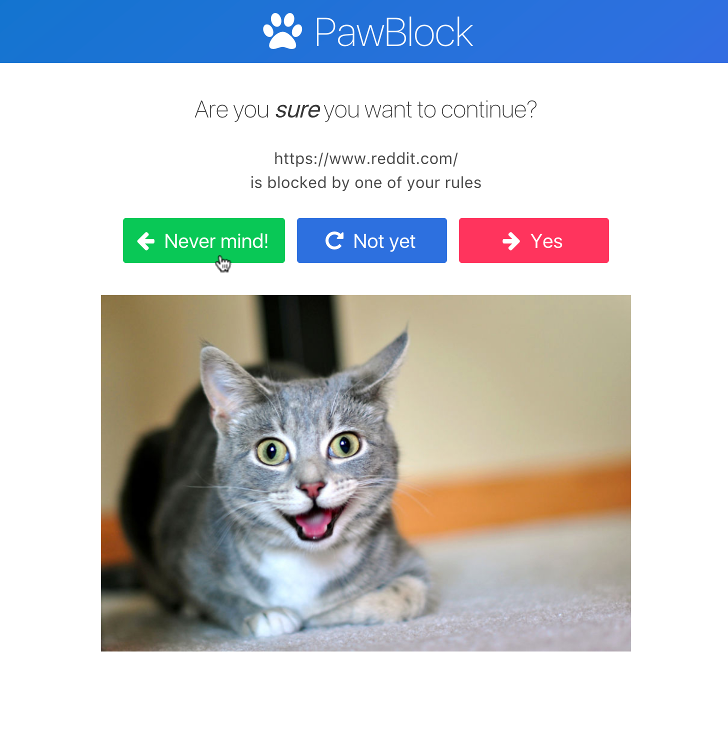 PawBlock gallery image