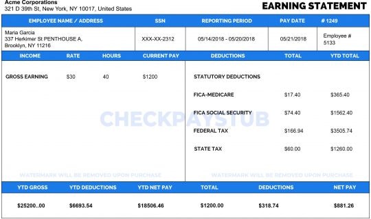 Controlla la paga di paga - Controlla gratuitamente Stub Maker di CheckPayStub.com media 1