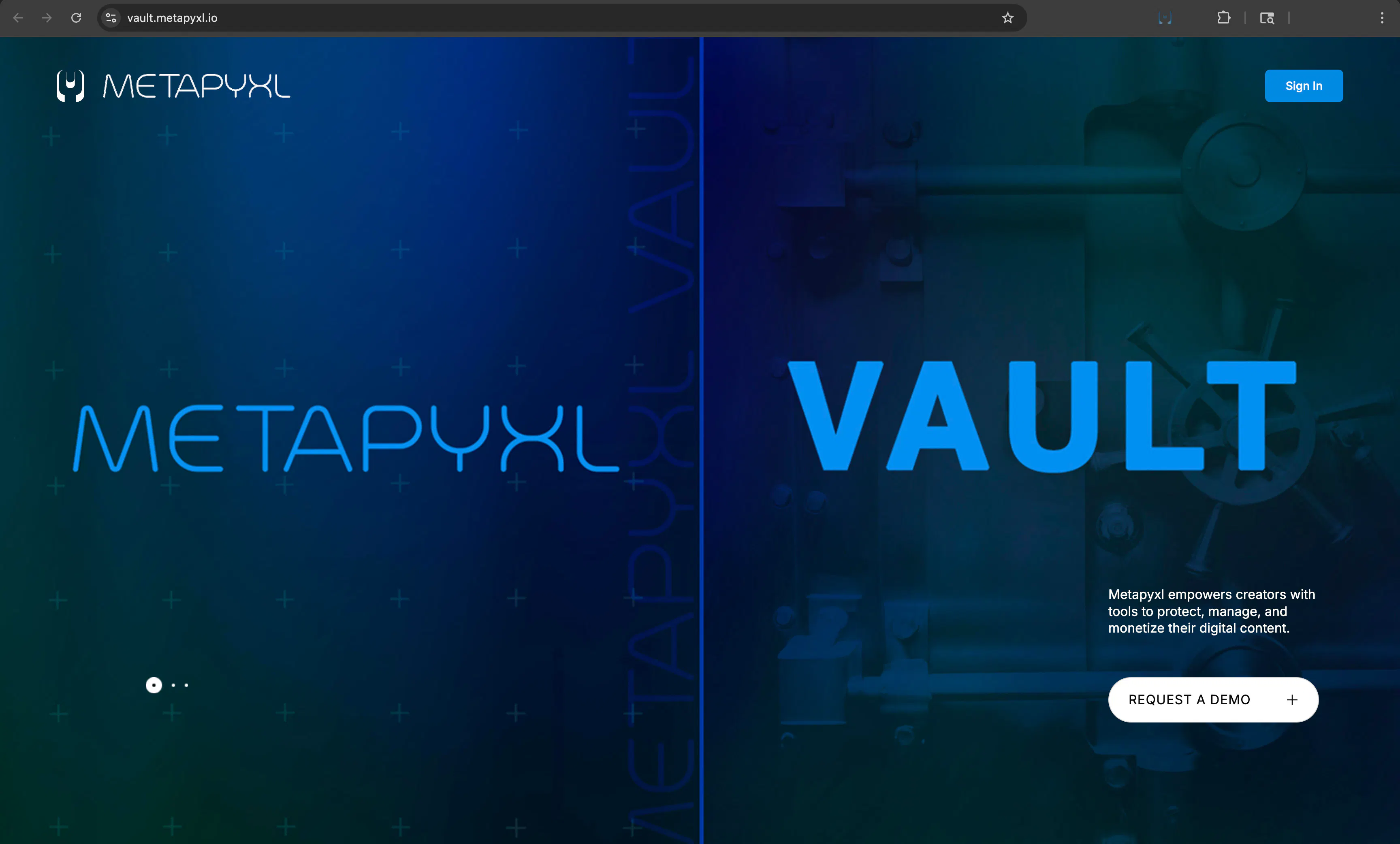 Metapyxl™ gallery image