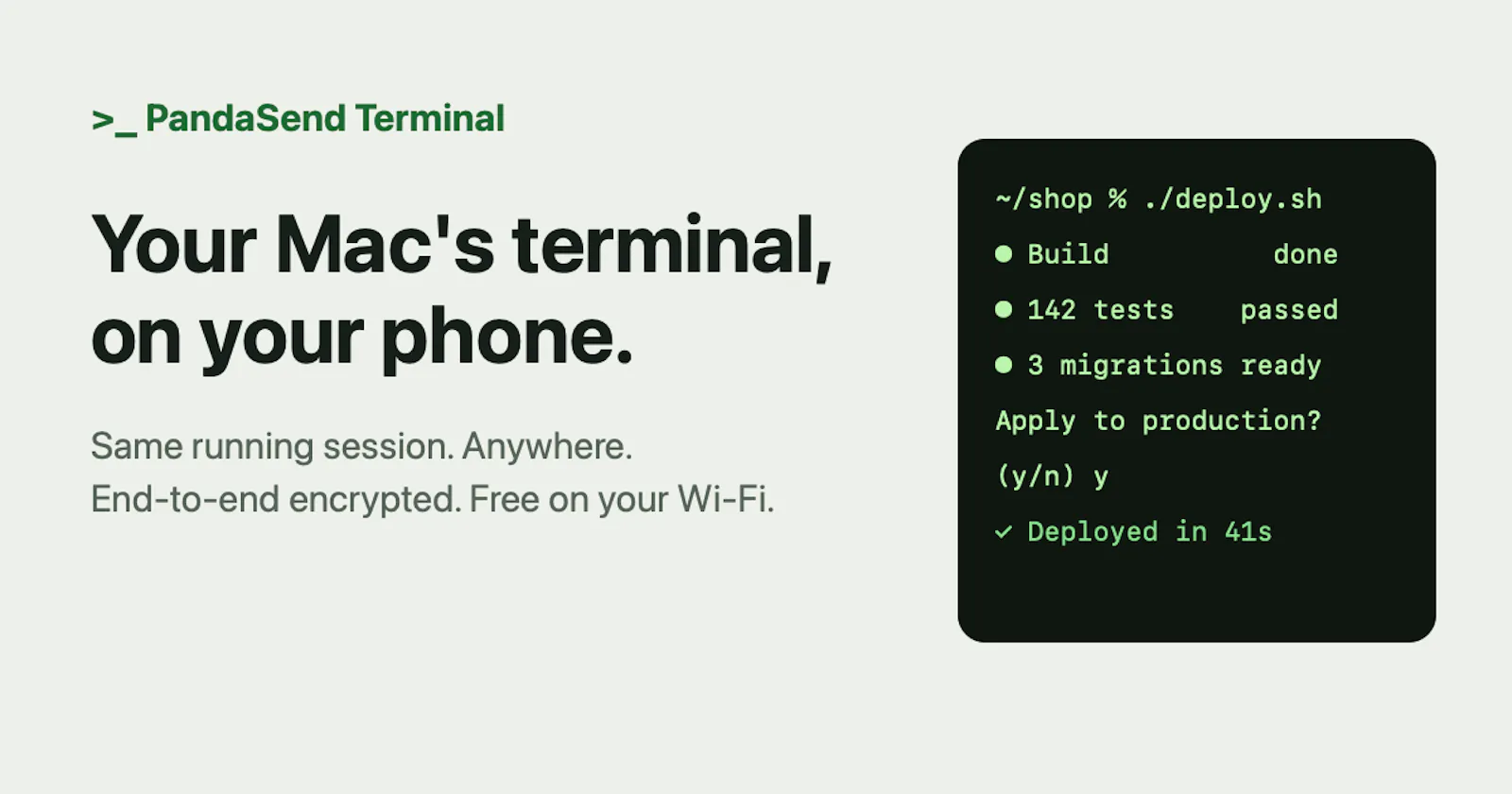 PandaSend Terminal screenshot 1