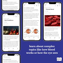 Quotidian Daily gallery image