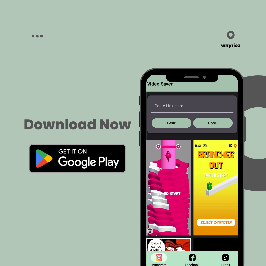 ビデオセーバー：Insta、FB、Tiktok media 4