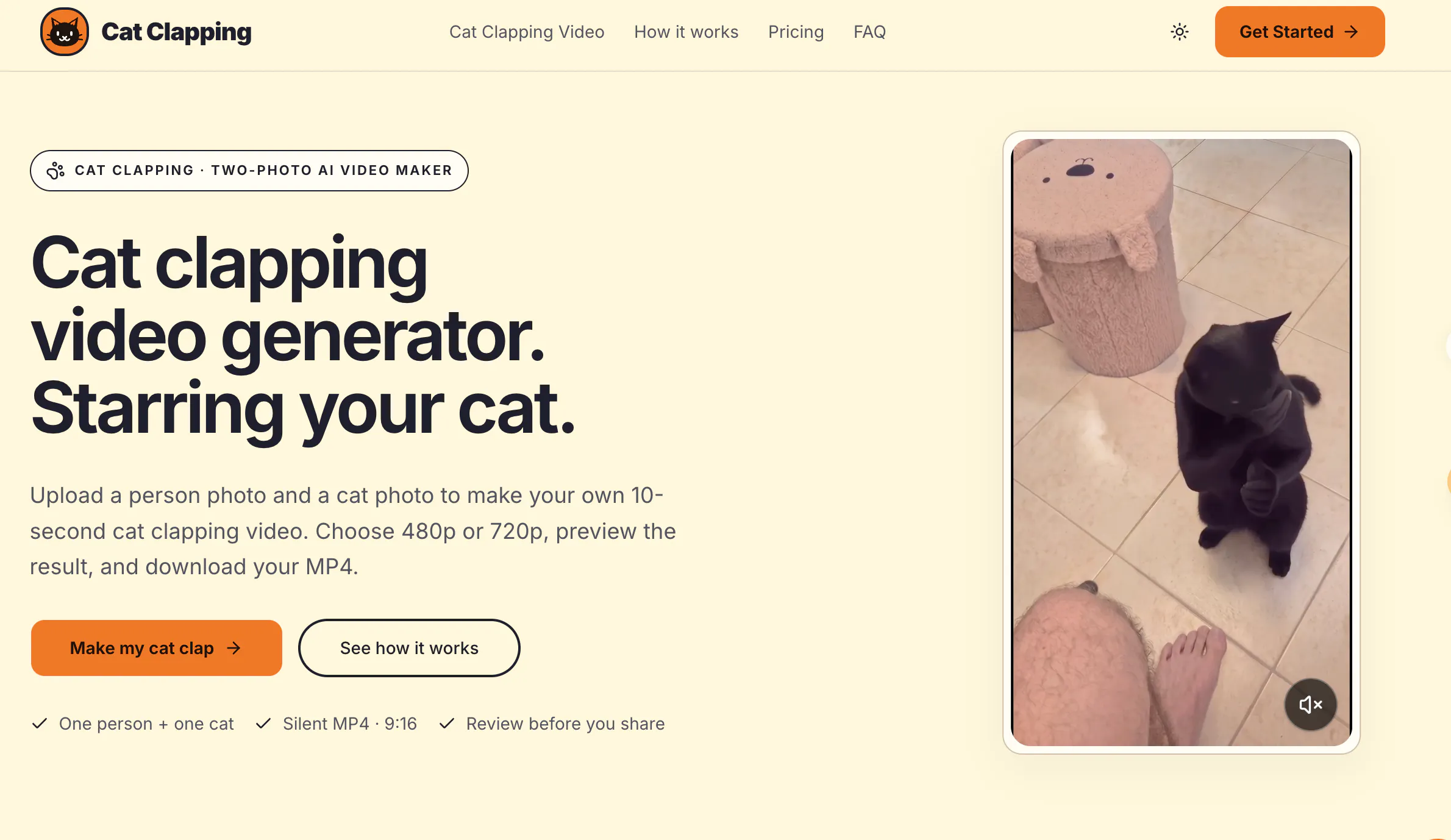 Cat Clapping gallery image