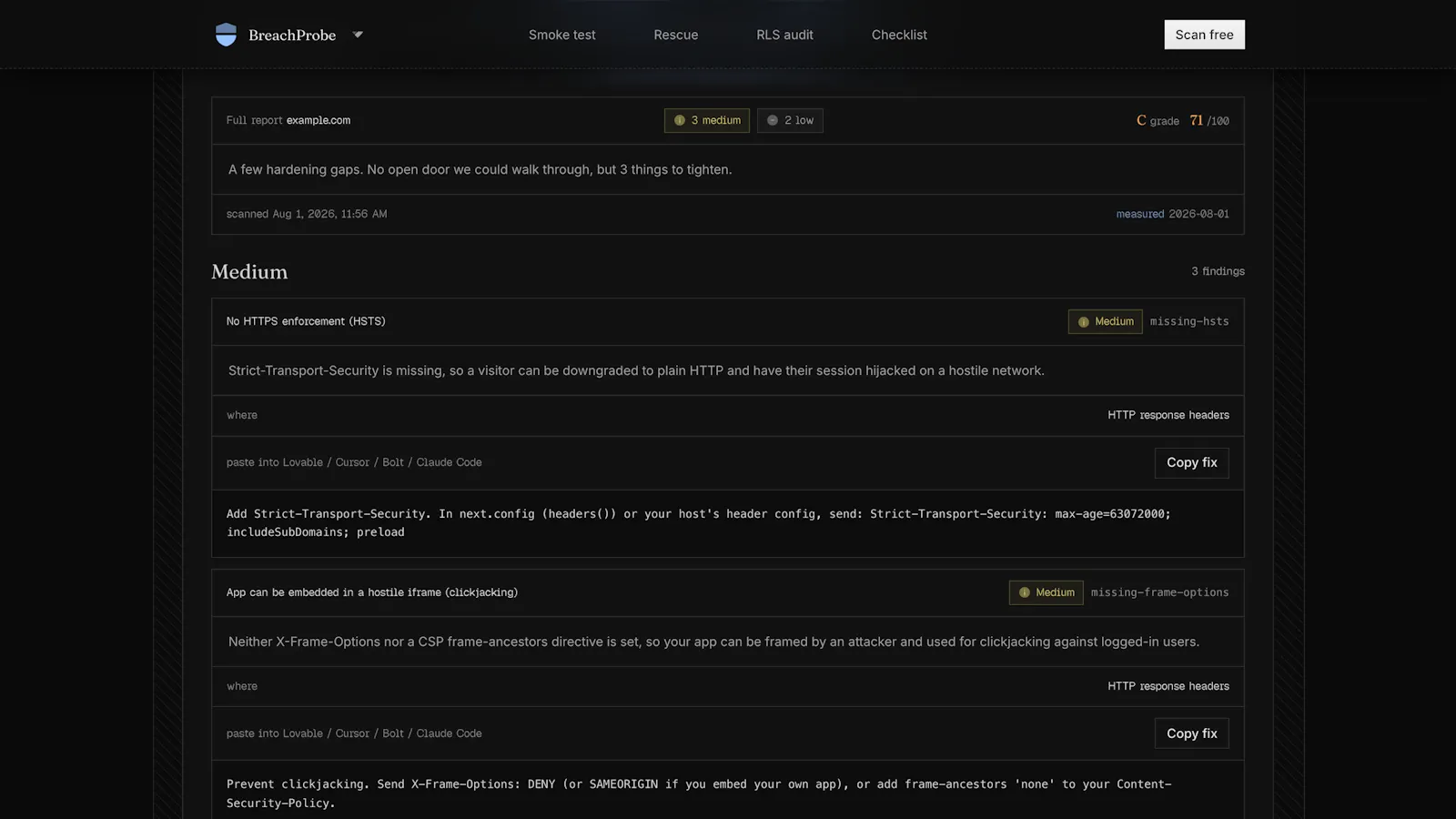 BreachProbe screenshot 2