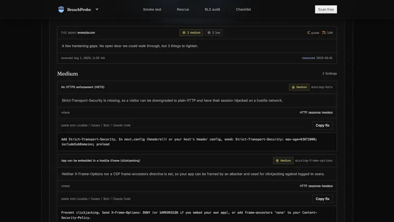 BreachProbe screenshot 2