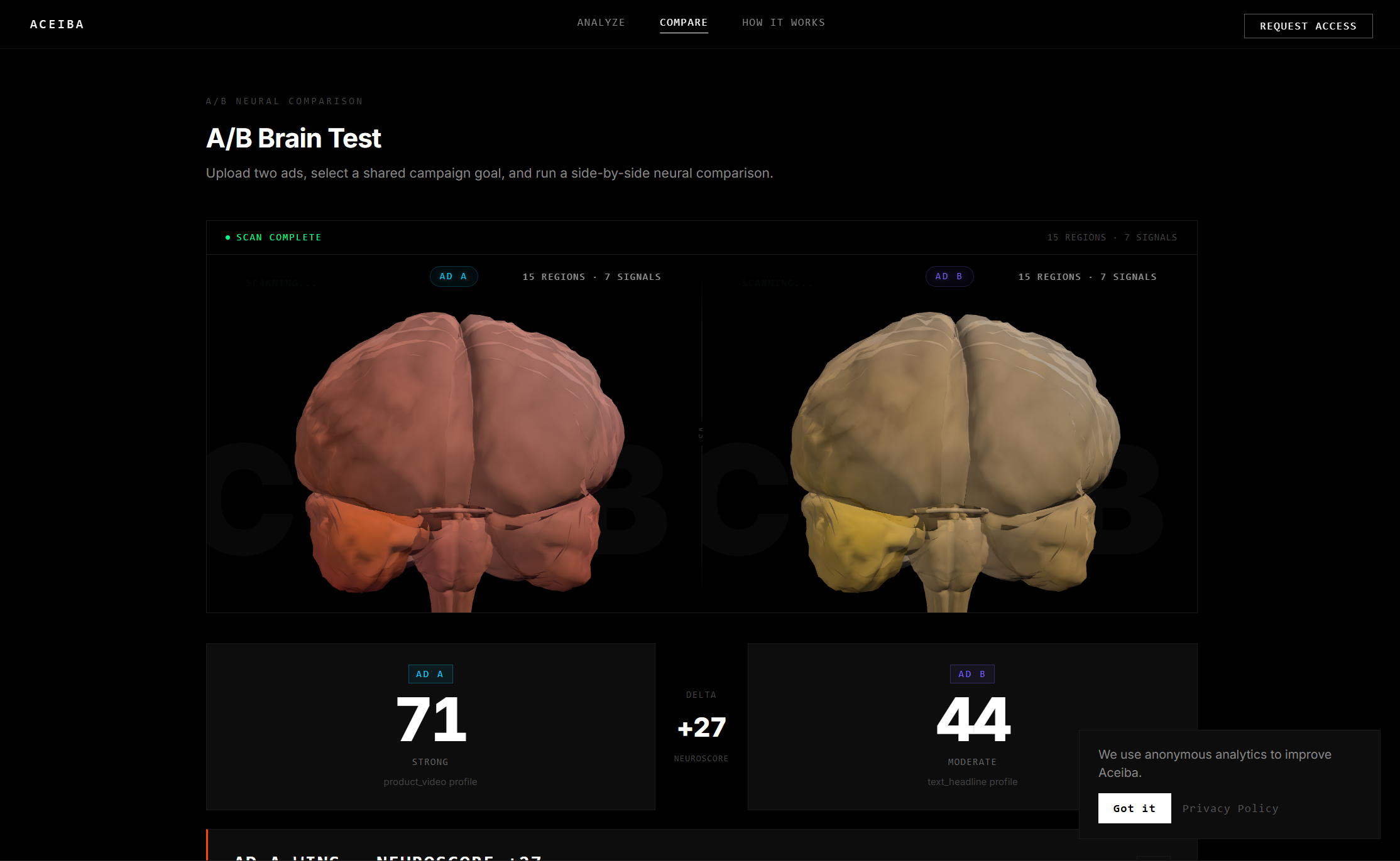 Aceiba gallery image