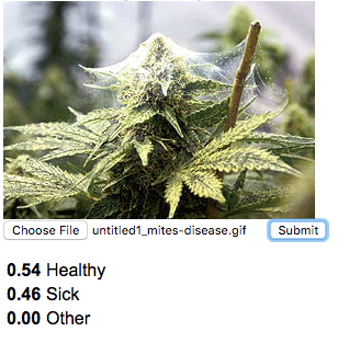 Chronic Sickness gallery image