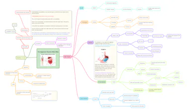 Mindmapi.ai gallery image