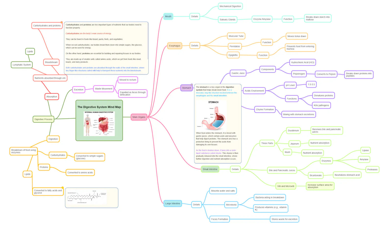 Mindmapi.ai screenshot 5