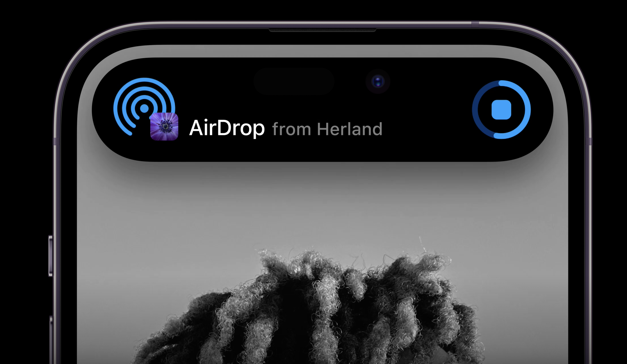 iPhone 14 및 14 Pro - Apple의 최신 iPhone 미디어 7