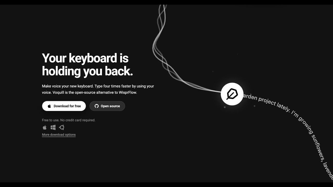 Voquill gallery image