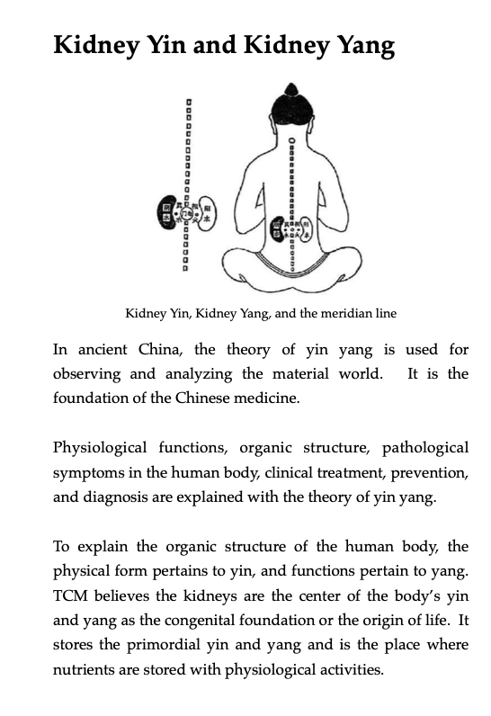 What the ancient knew gallery image