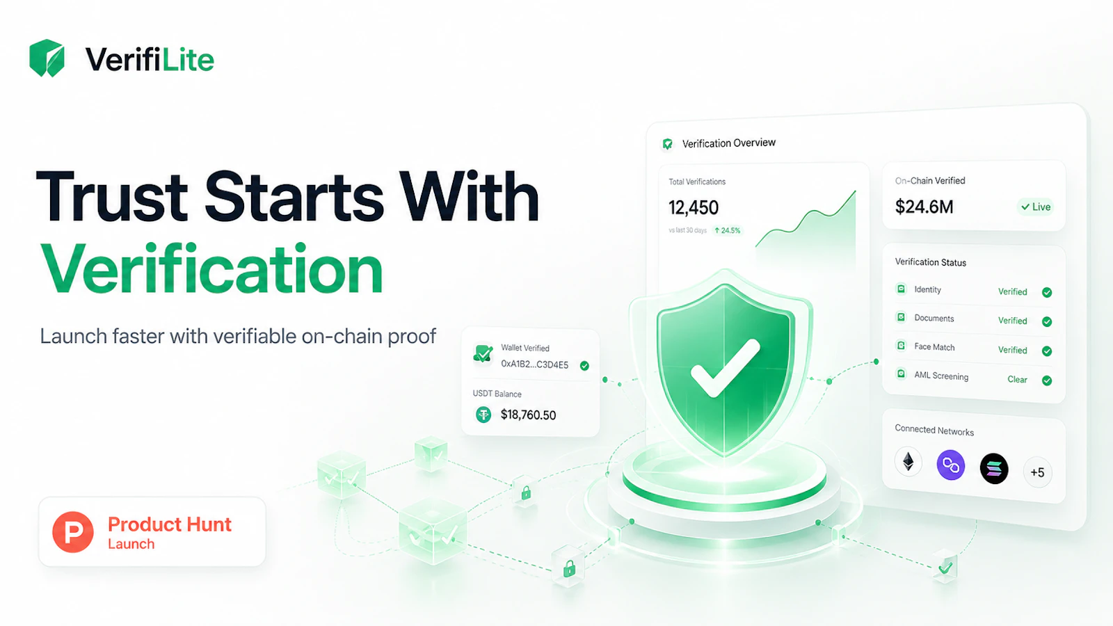 VerifiLite screenshot 1