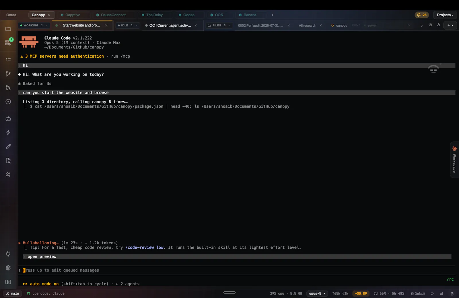 Canopy IDE screenshot 5