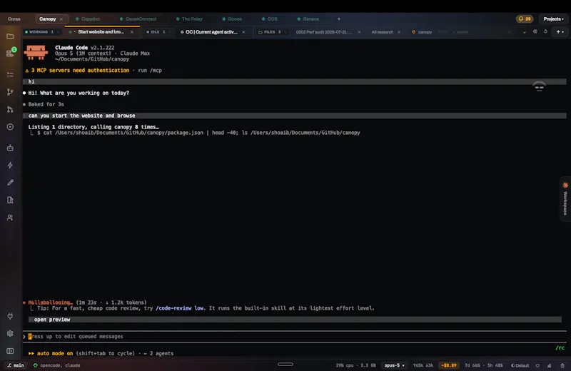 Canopy IDE screenshot 5