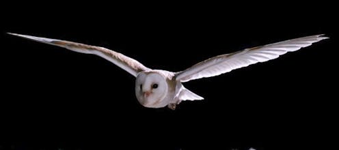 Aether SEO gallery image