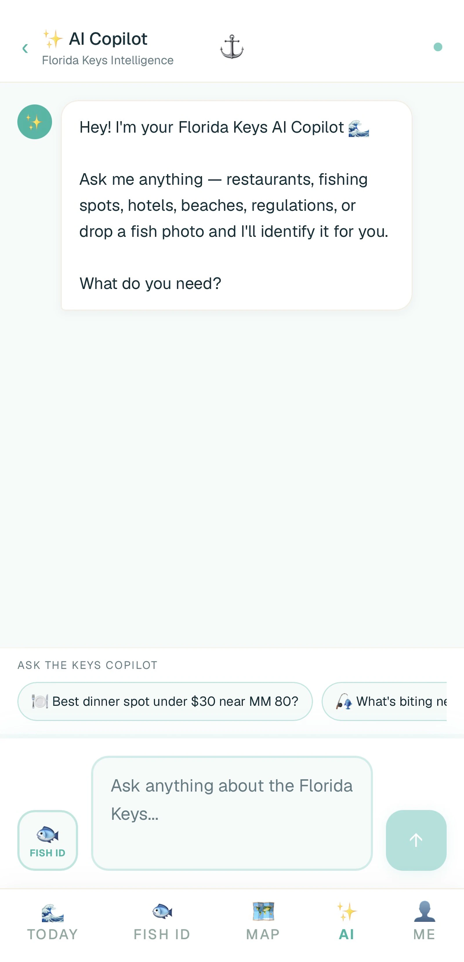 flkeys.app screenshot 4