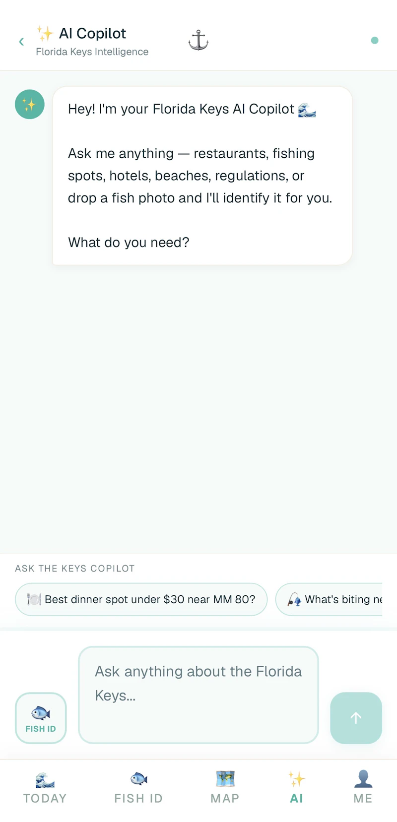 flkeys.app screenshot 4