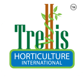 Trellis horticultura