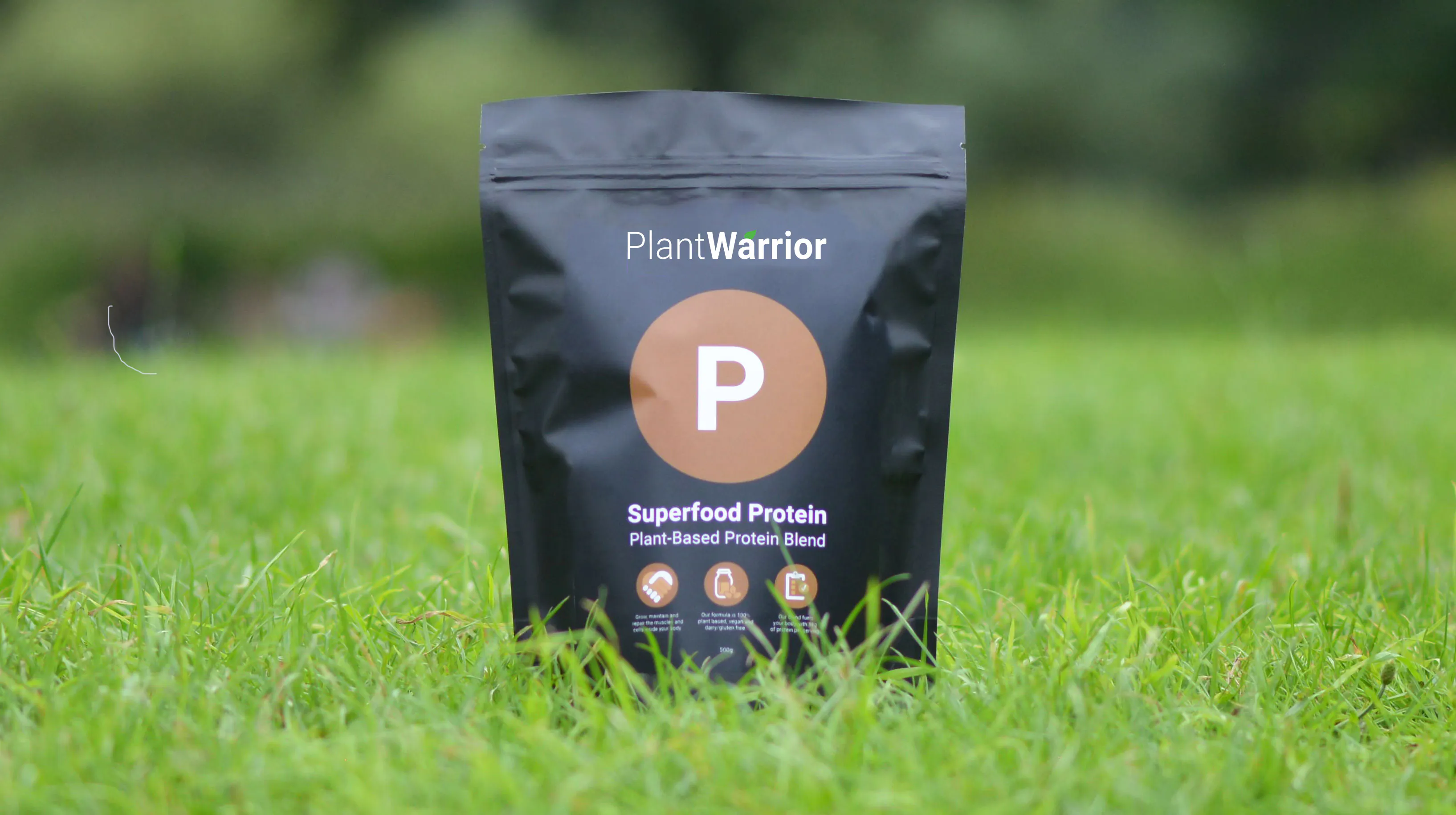 Superfood Protein