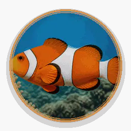 Fish Identifier