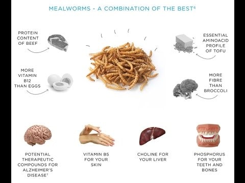 livinfarms gallery image