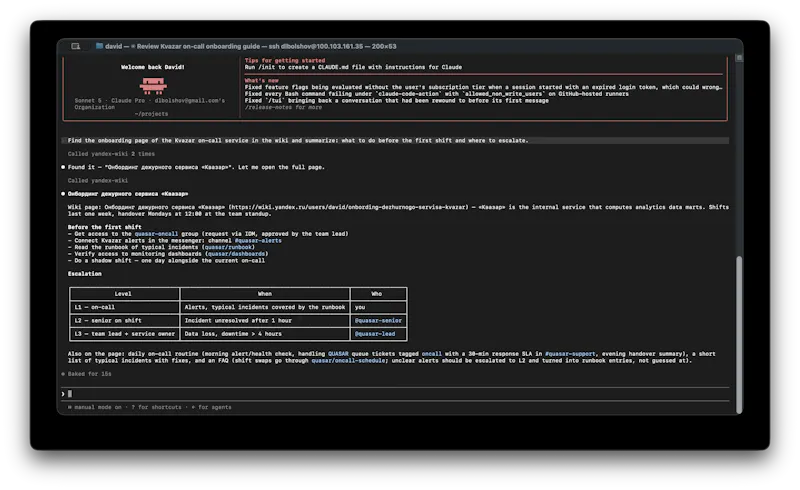 Yandex Wiki Search MCP screenshot 3