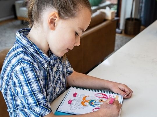 Teacher Planners:  gallery image