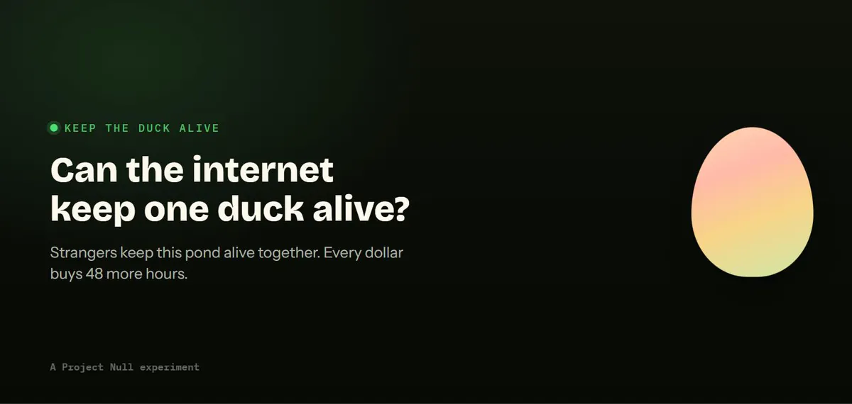 Keep the Duck Alive gallery image
