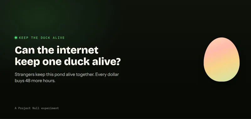 Keep the Duck Alive screenshot 2