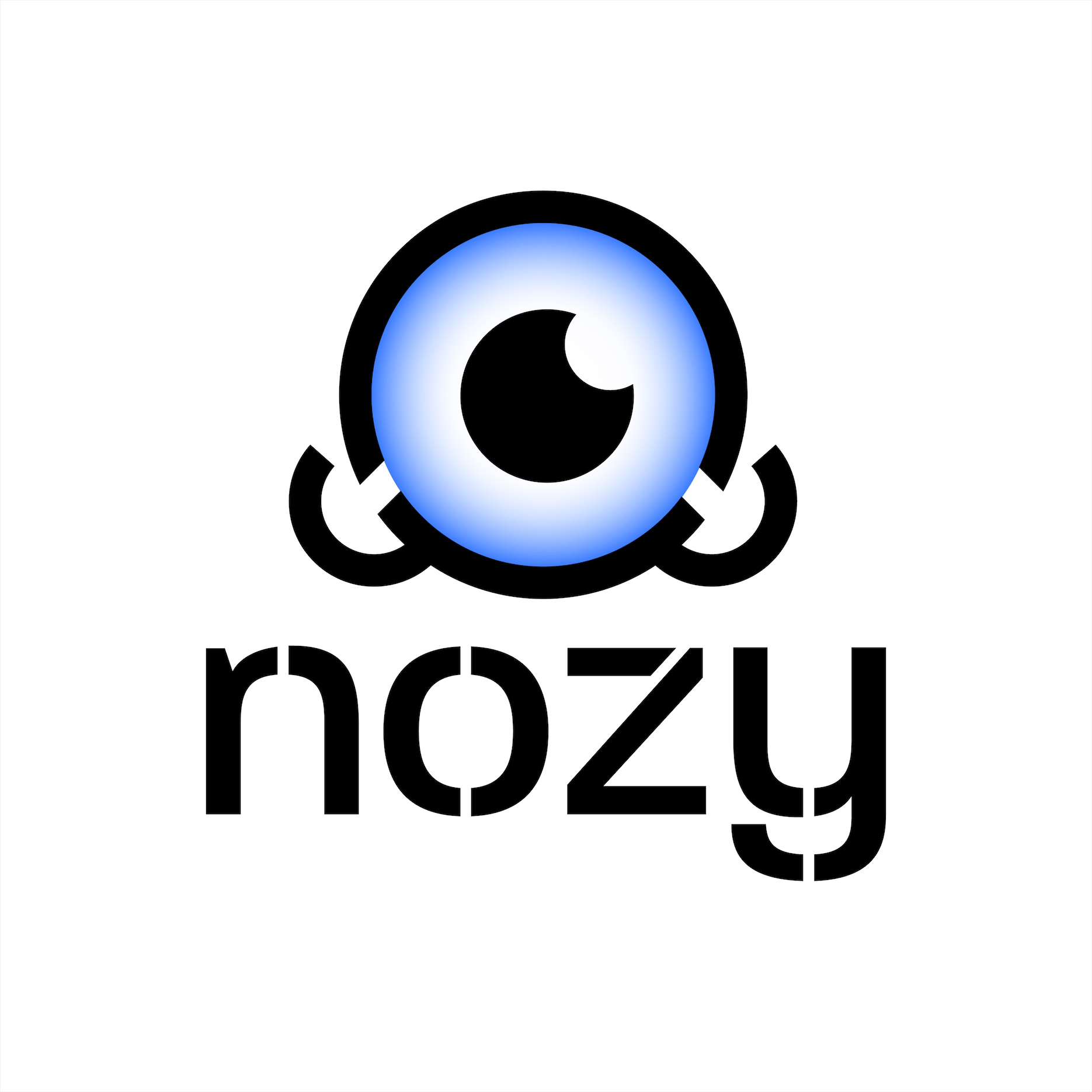 Nozy
