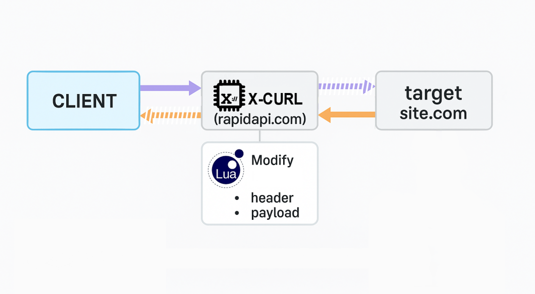 X-CURL media 1