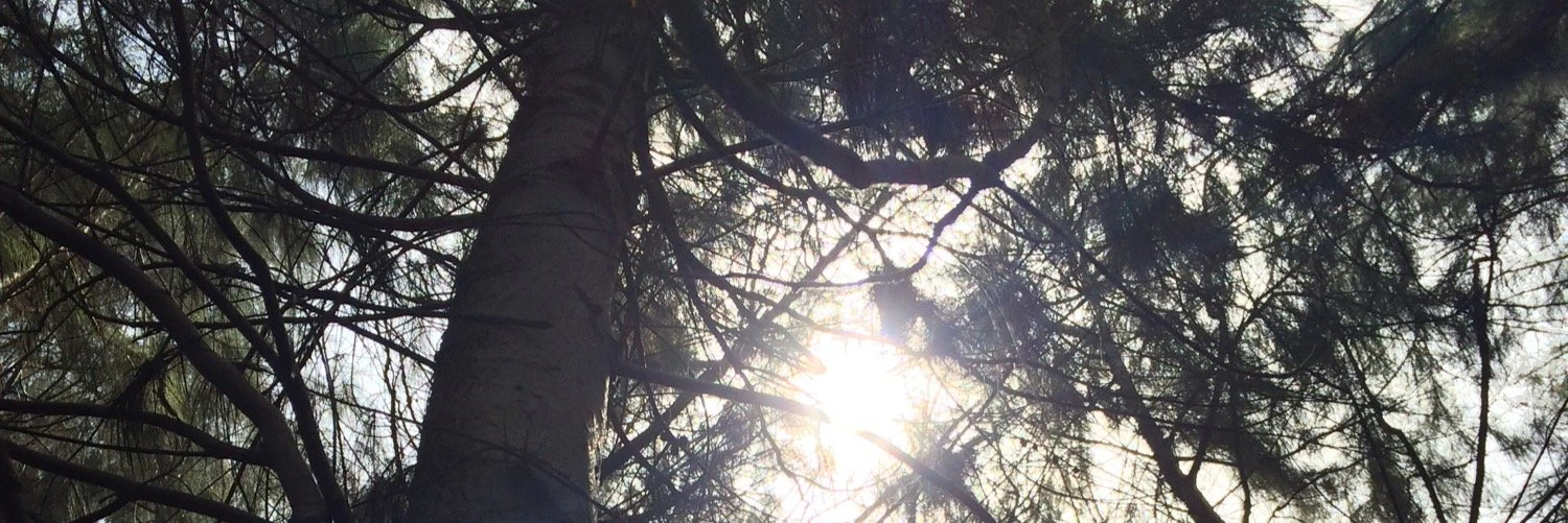 Arunoda Susiripala cover