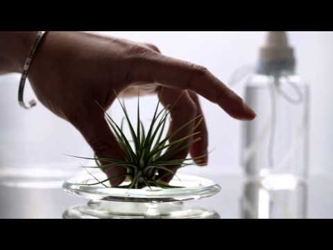 Sesame Corporate Gifts gallery image