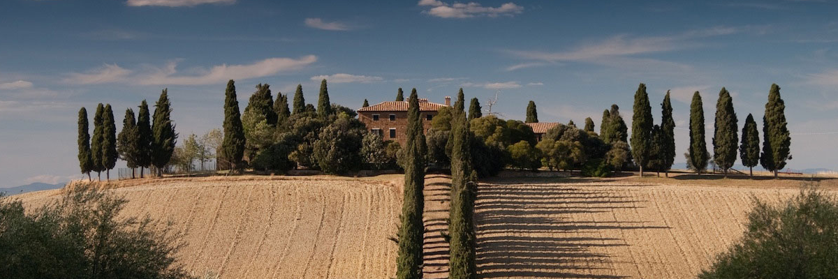 Holidu gallery image