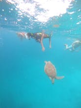 Snorkeling Gili Trawangan gallery image