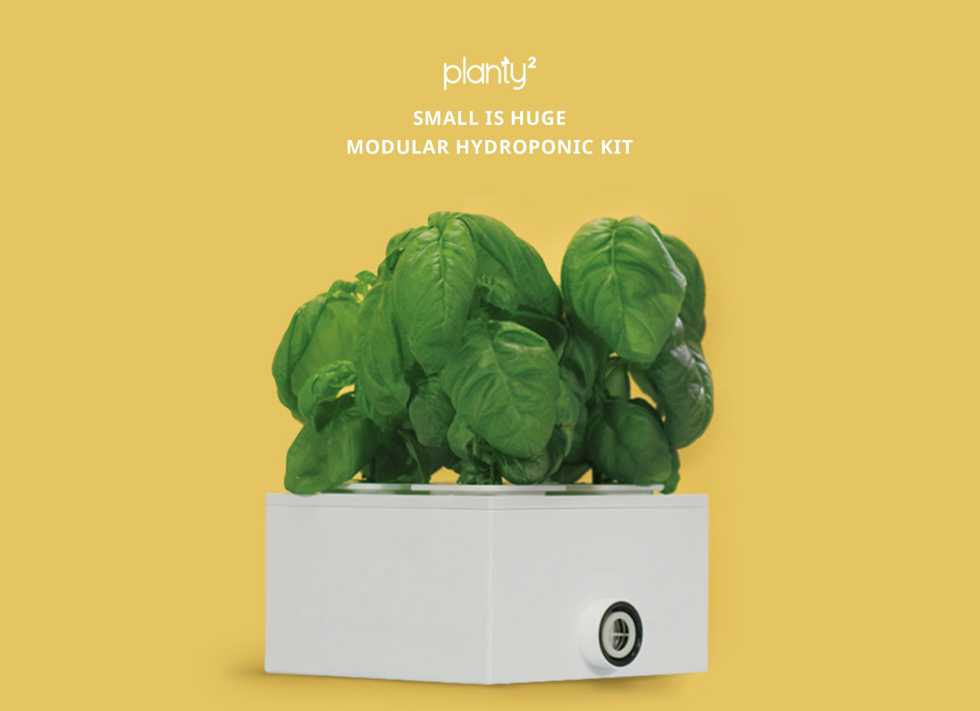 PLANTY SQUARE gallery image