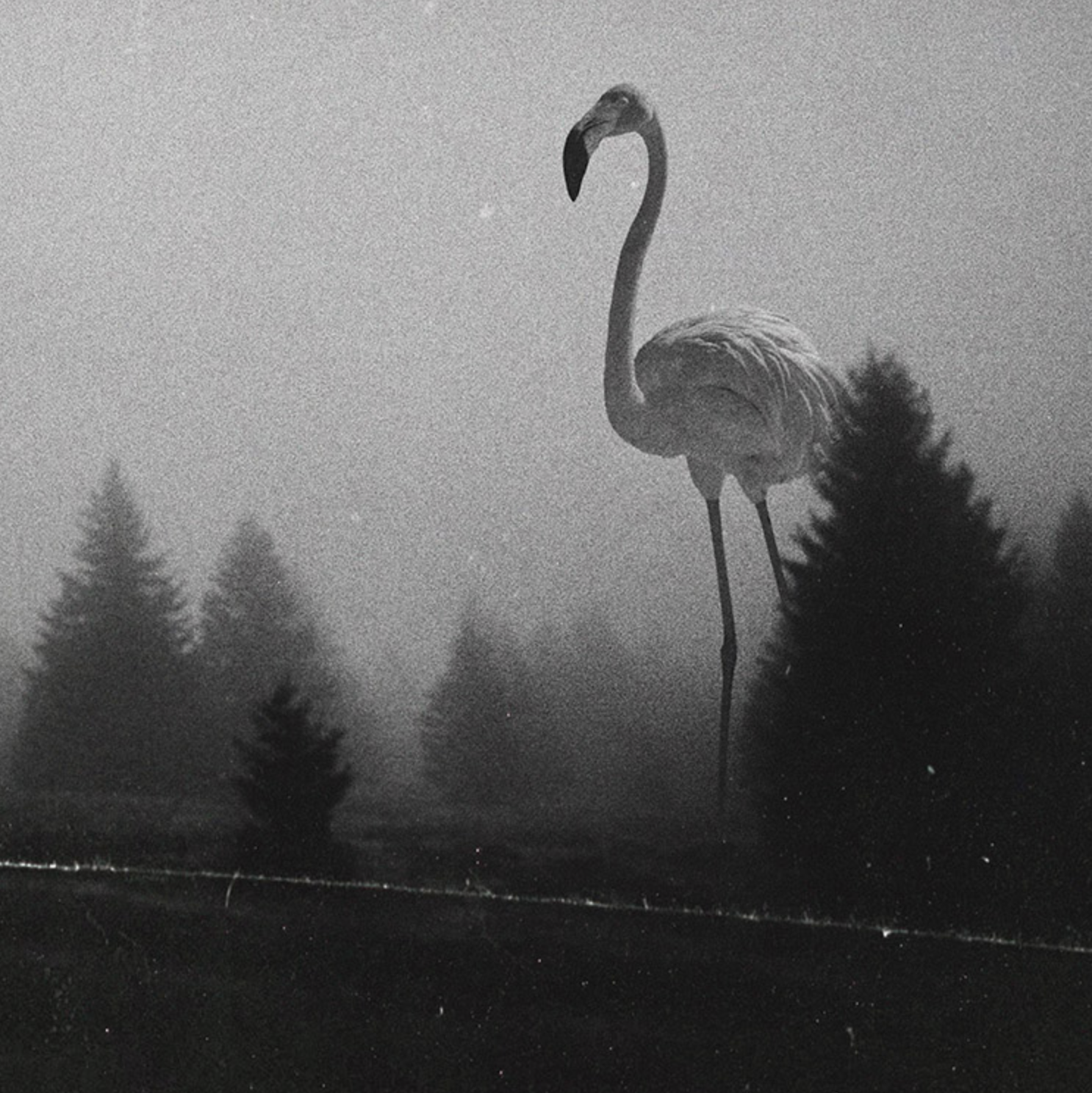 Realtime Crypto Arbitrage Opportunities gallery image