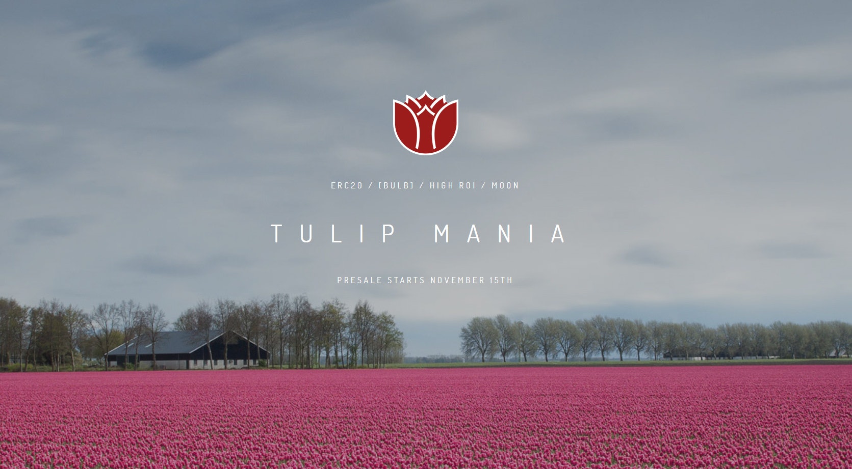 Tulip Mania Project gallery image