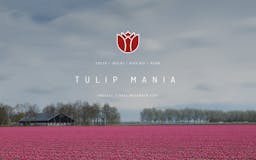 Tulip Mania Project media 2